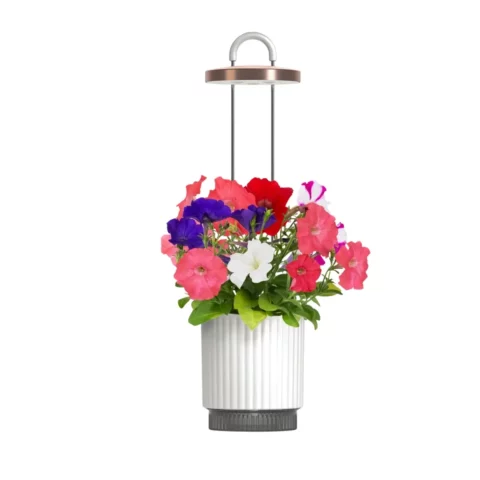 Smart Garden 1 HydroVase, bílá