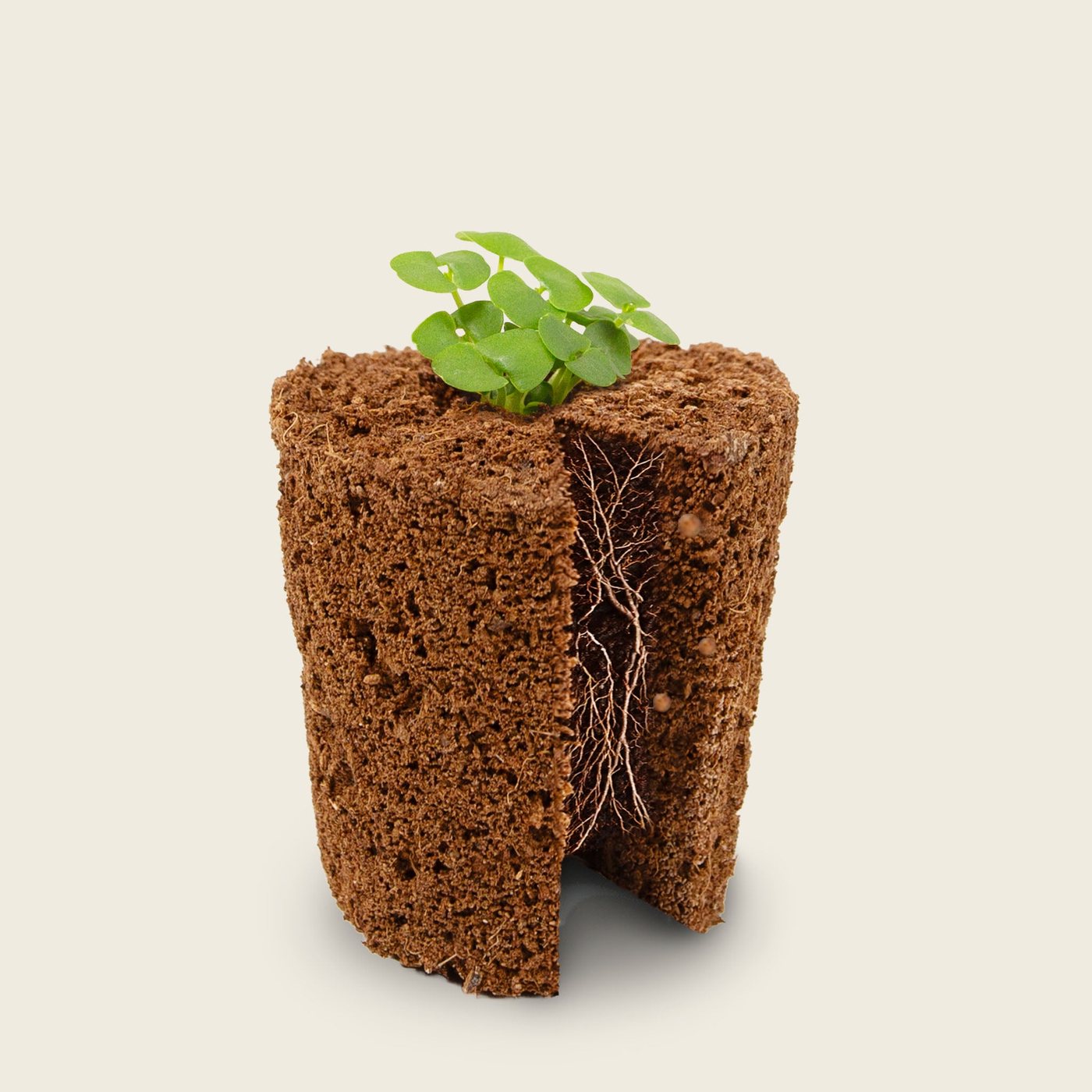Chytrá půda Click and Grow udělá všechnu práci za vás