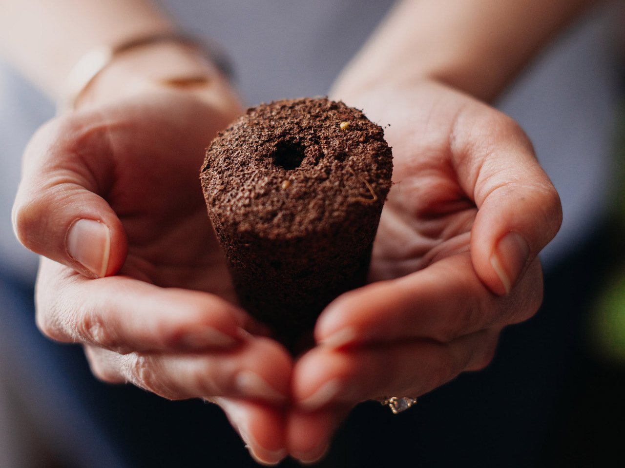 Chytrá půda Click and Grow udělá všechnu práci za vás