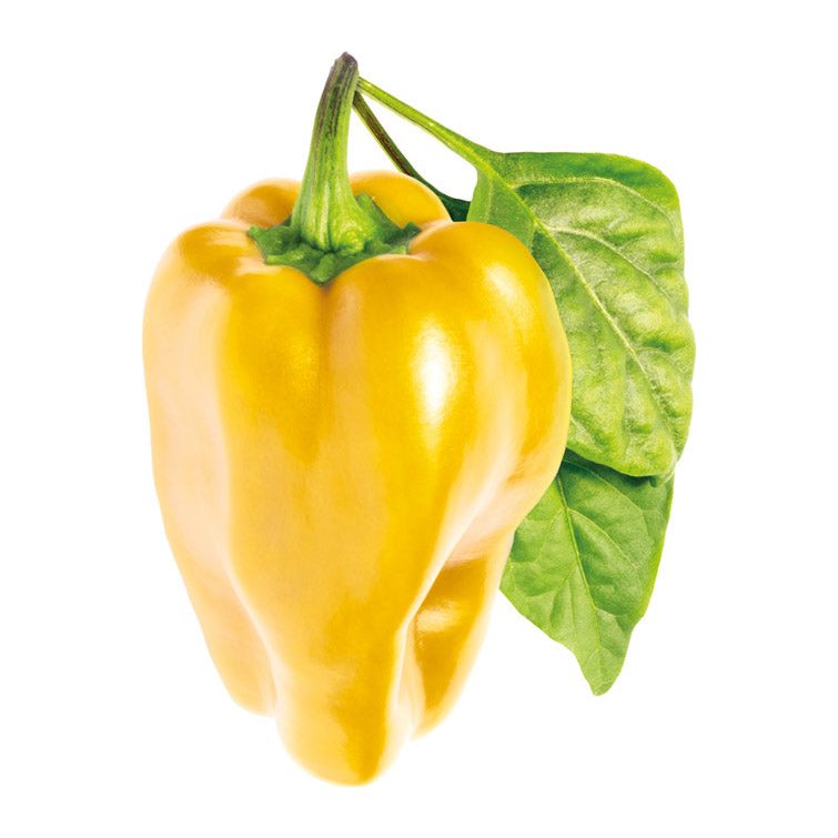 Sladká žlutá paprika
