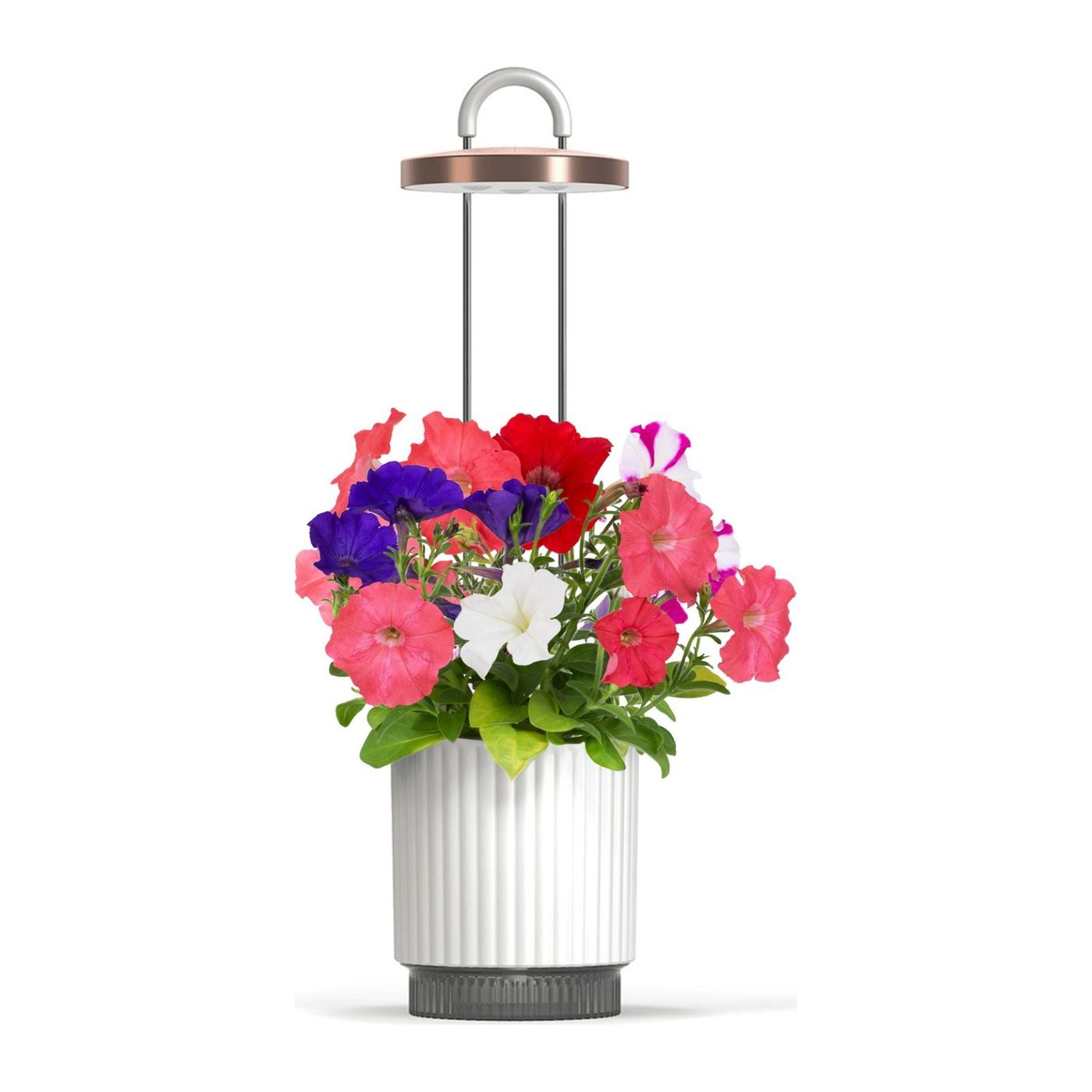 Smart Garden 1 HydroVase, bílá