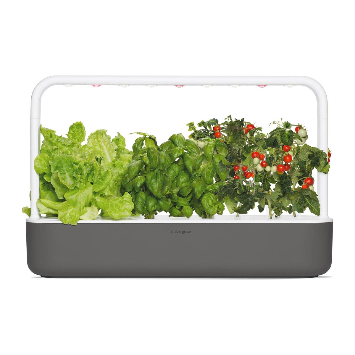 Smart Garden 9, šedá