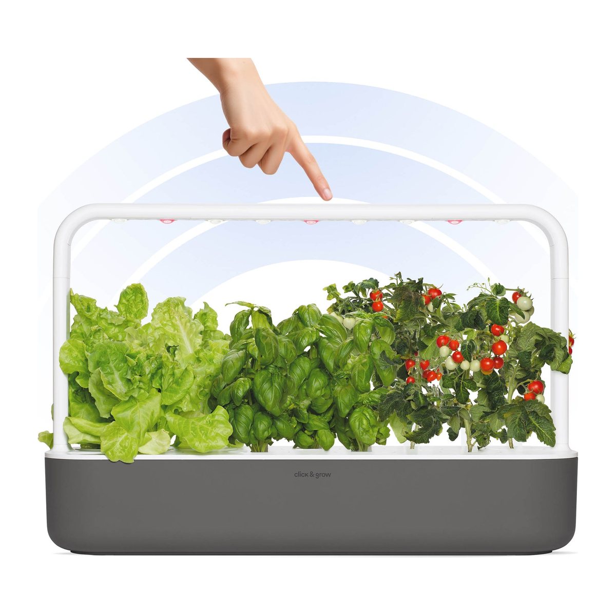 Smart Garden 9 Pro, šedá